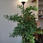 ゲストハウス Feel Airport