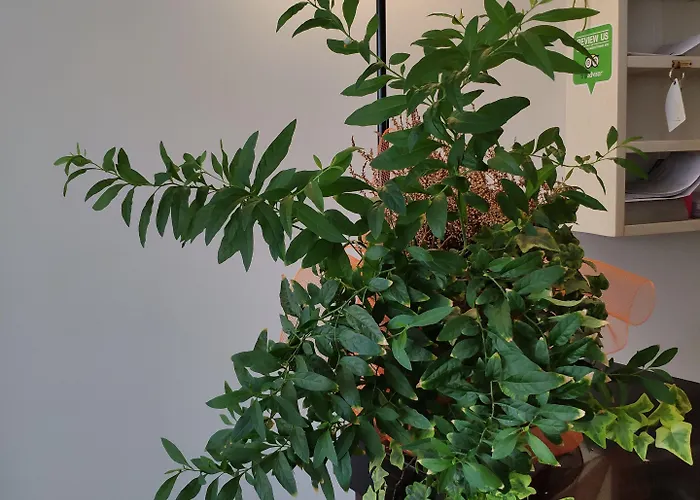 Casa de hóspedes Feel Airport