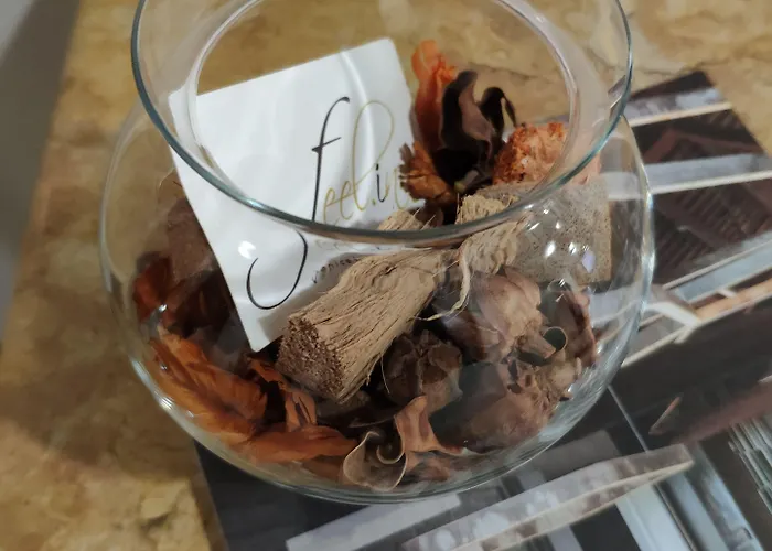 Feel Airport 4* Veneza